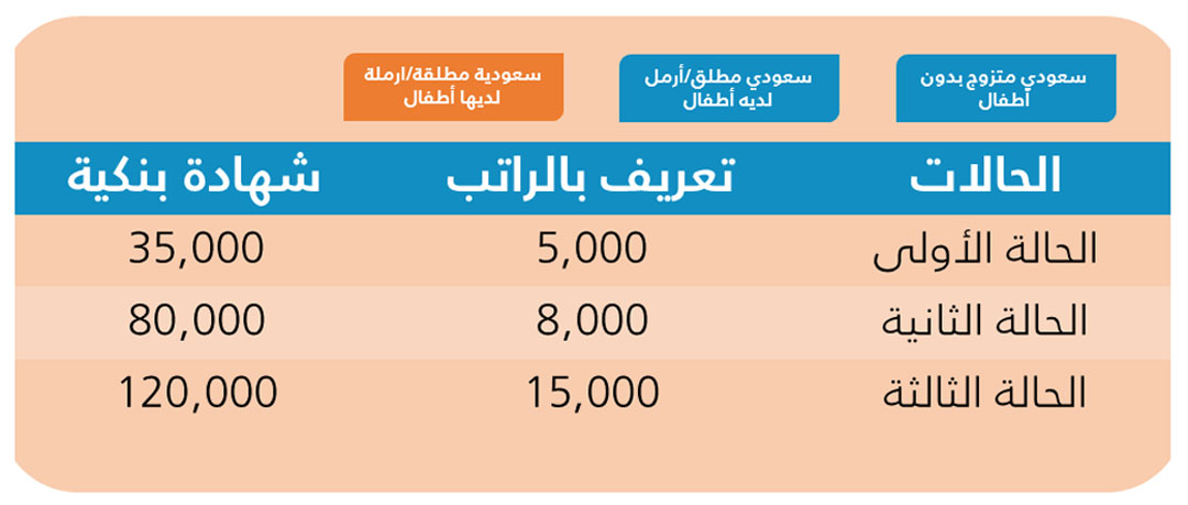 financial-capability-requirements-2ar